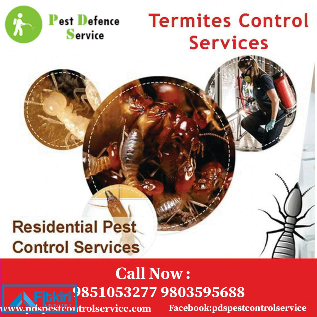 Pest control service in kathmandu - Find new and used Others for sale ...