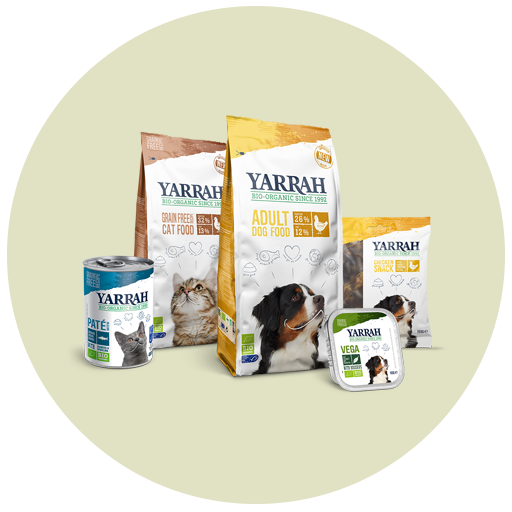 Pet Food & Accessories